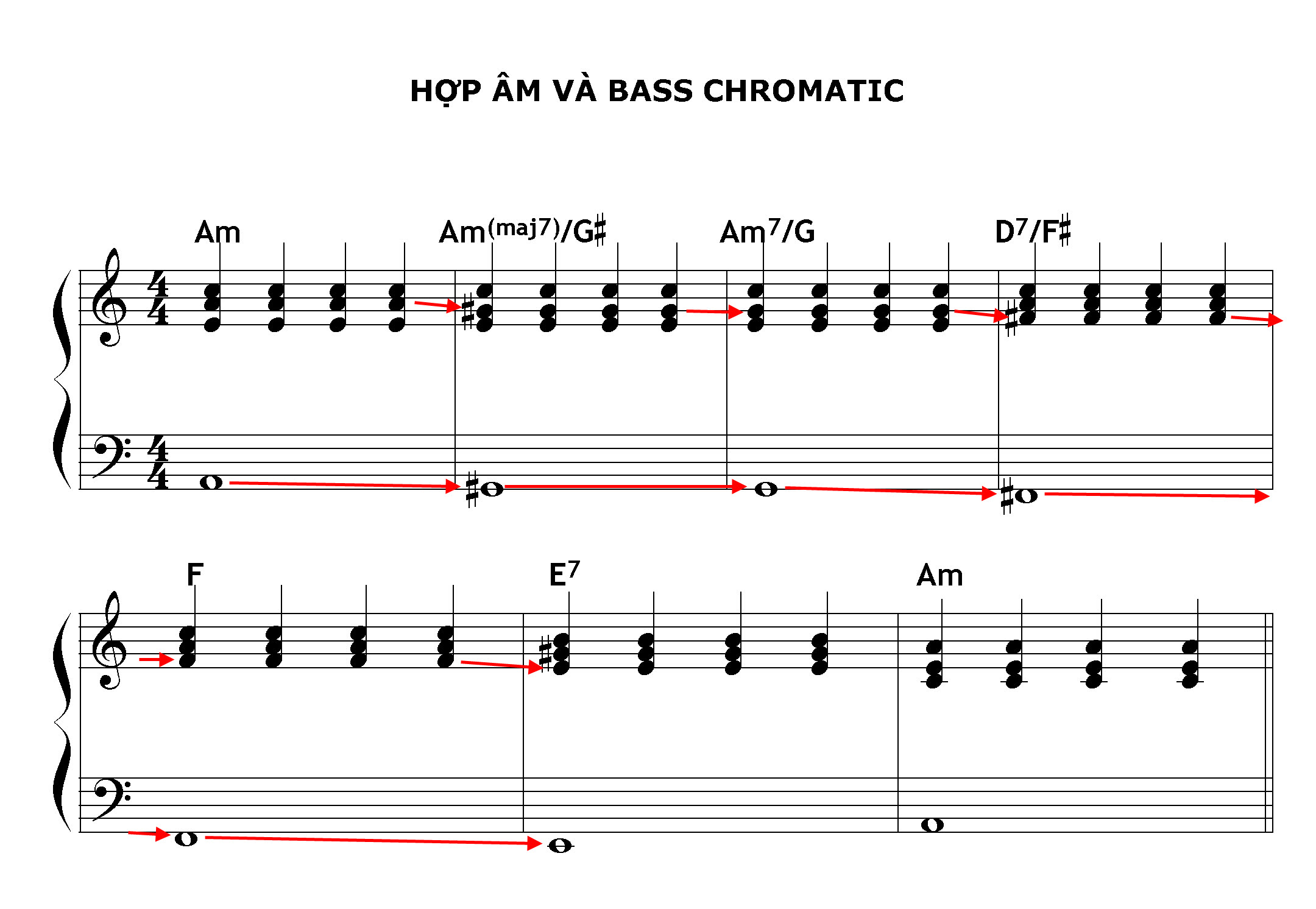Bass chromatic 2.jpg