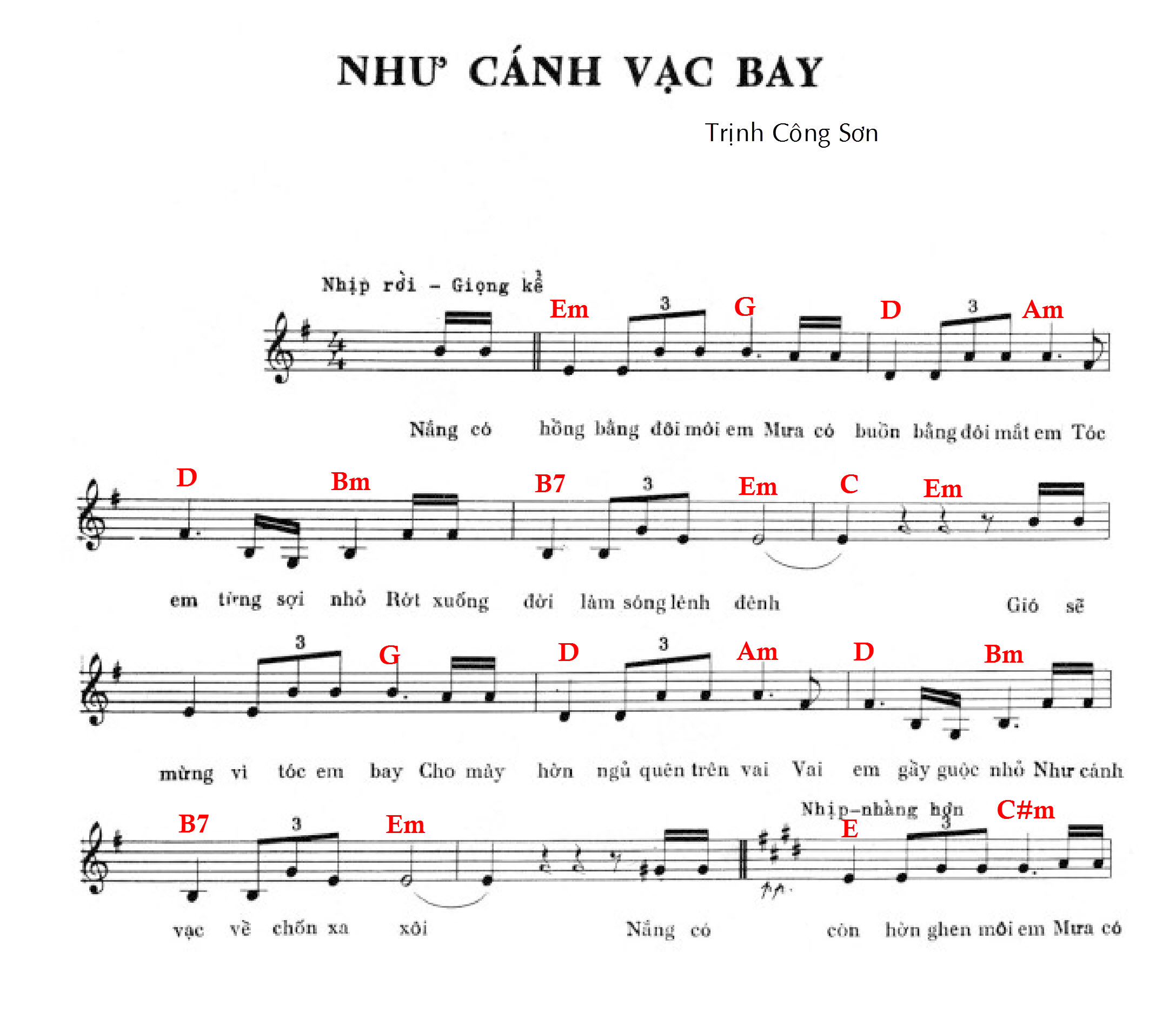 Nhu Canh Vac Bay-1.jpg